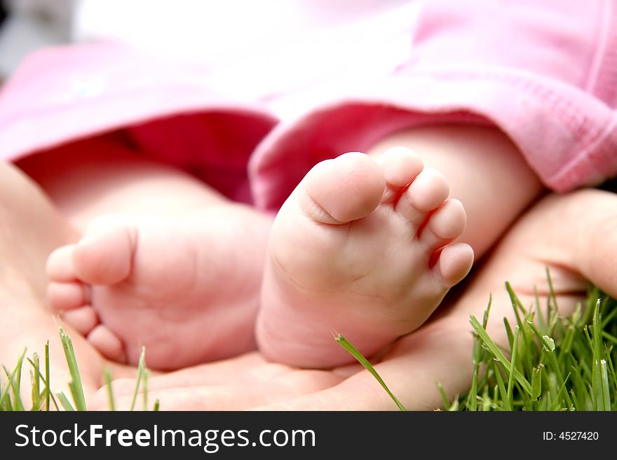 Little child feet in mother's hands in grass. Little child feet in mother's hands in grass