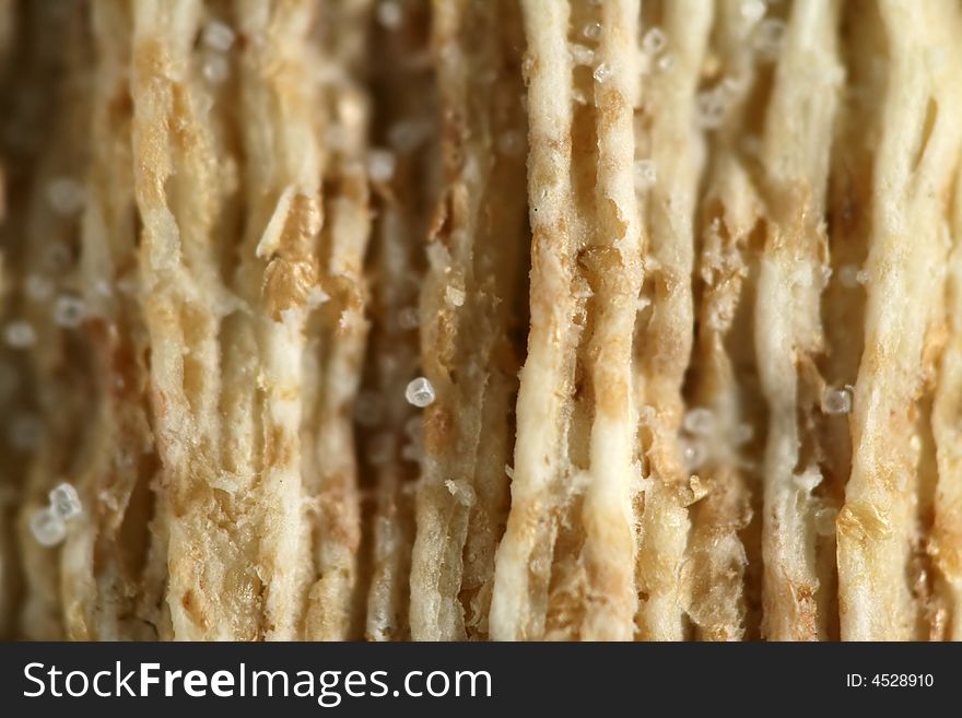 Close up of a wheat cracker