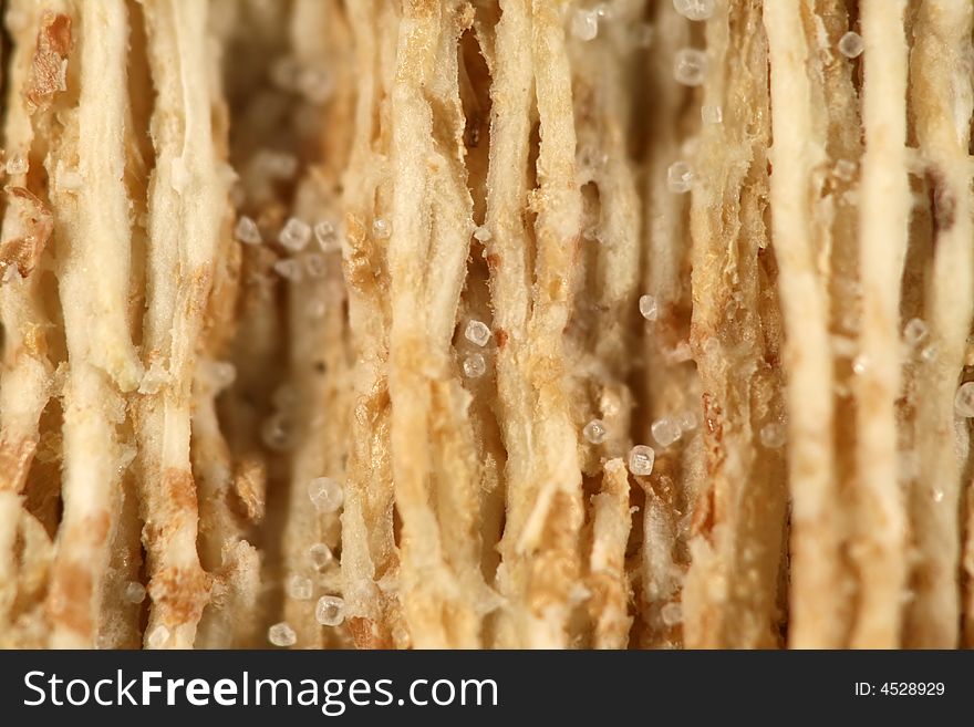 Close up of a wheat cracker