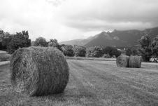Haystacks Under An Overcast Sky Royalty Free Stock Photos Haystacks Under An Overcast Sky Royalty Free Stock Photos