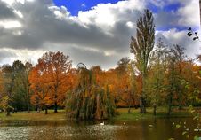Pond Stock Photography Pond Stock Photography