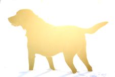 Yellow Labrador Retriever Dog Stock Photos