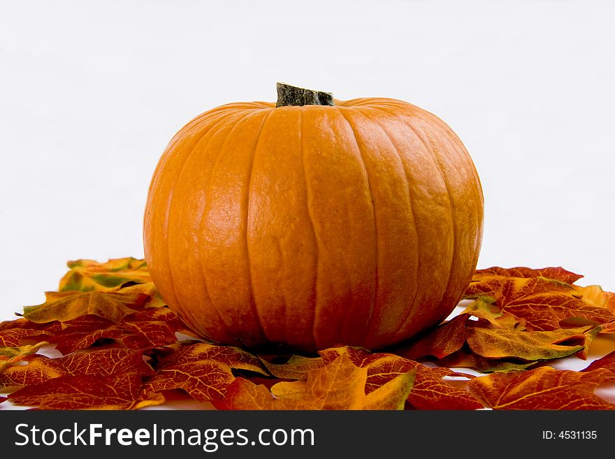 Horizontal image of pumpkin and maple leaves. Horizontal image of pumpkin and maple leaves