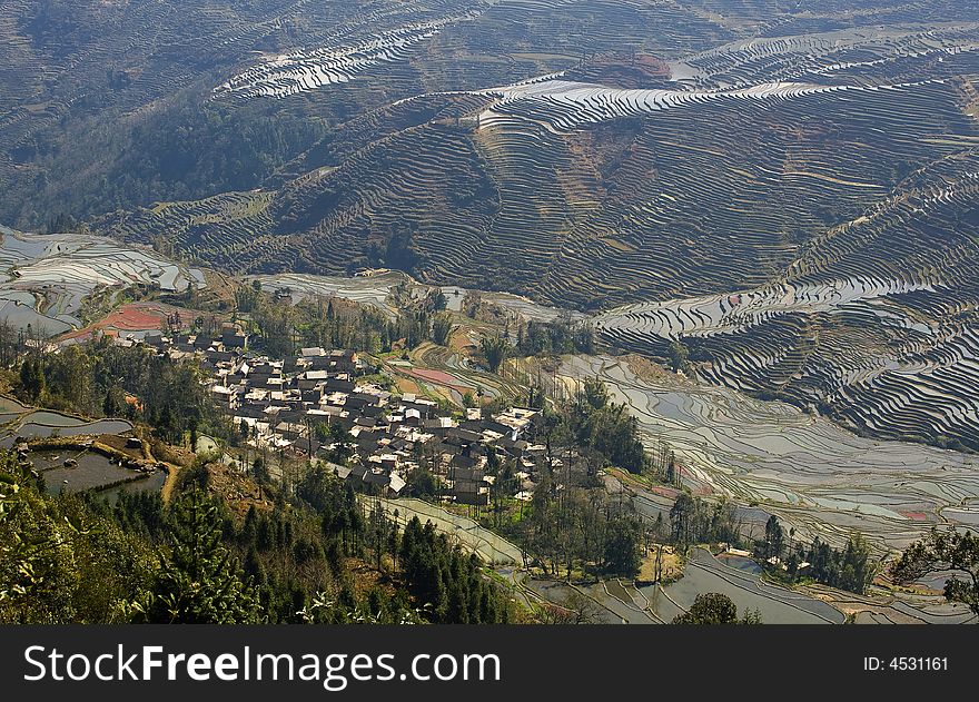 Yuanyang terrace is a beauty spot of Yunnan in China. Yuanyang terrace is a beauty spot of Yunnan in China