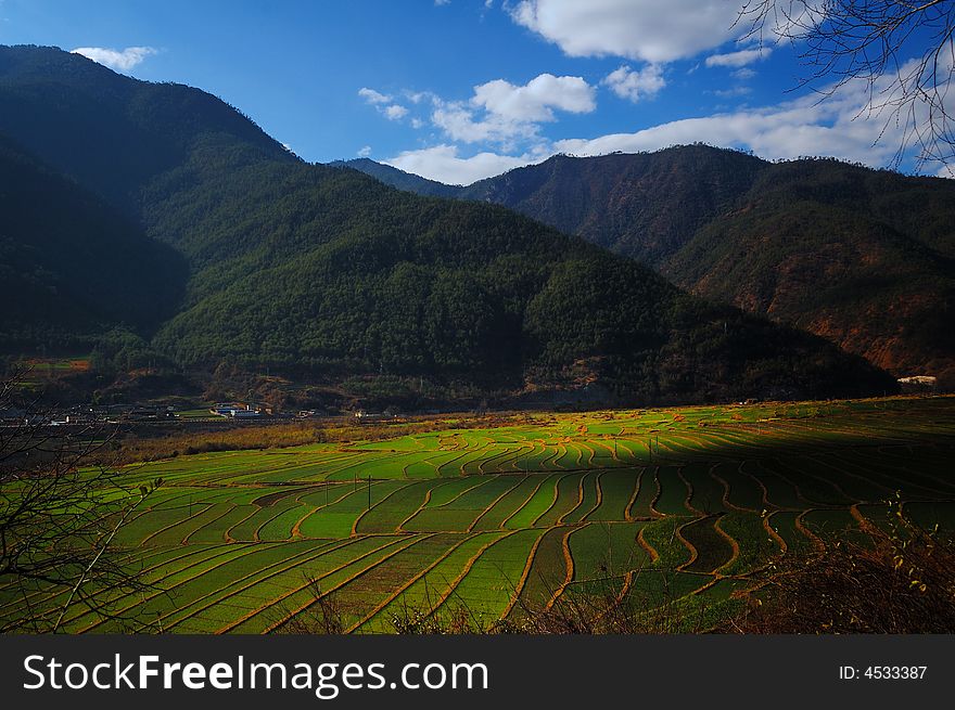 Is located the Yangtze River coast Naxi clansman's terraced field