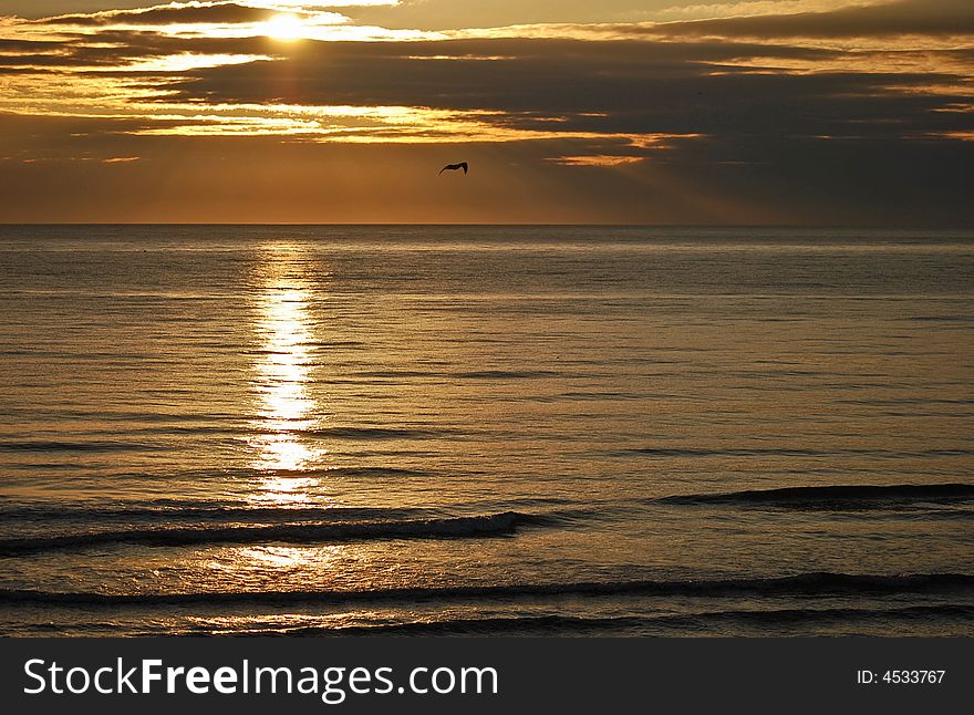 Taken at 6.00am at sandy bay in the north east of england. Taken at 6.00am at sandy bay in the north east of england