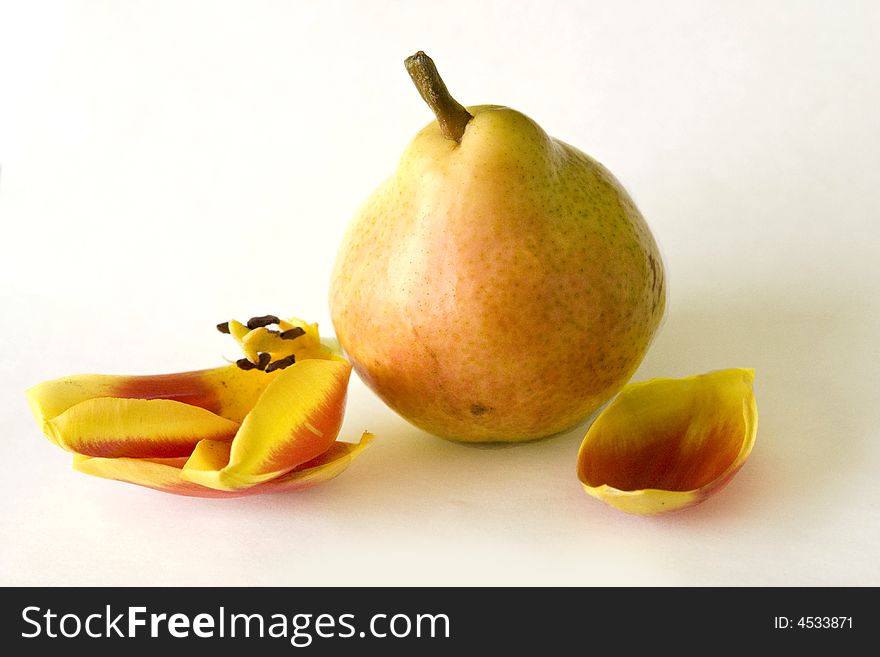 Yellow pear on the white background. Yellow pear on the white background