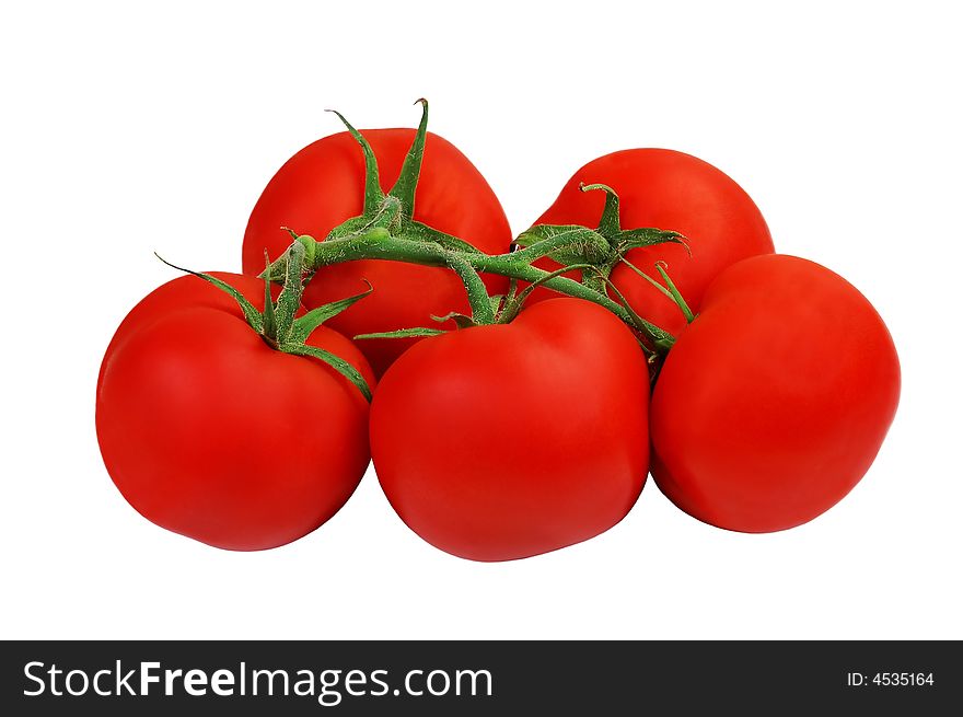 Fresh tomatoes ripe on the vine.