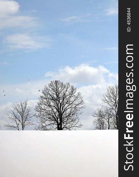 Silhouette of a tree against a blue sky with snow covered ground. Silhouette of a tree against a blue sky with snow covered ground