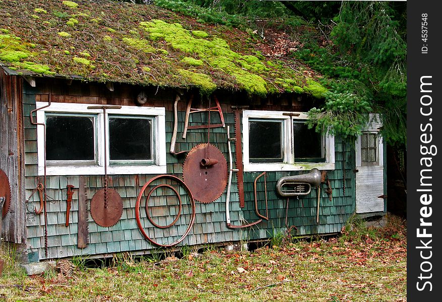 Green storage shed, moss on roof, antique objects hanging on side, white door. Green storage shed, moss on roof, antique objects hanging on side, white door