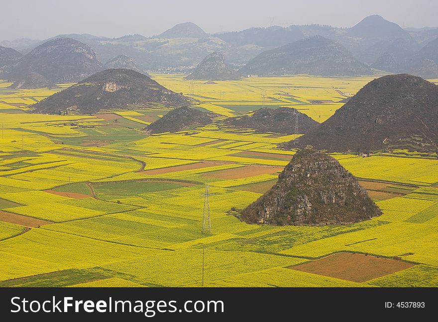 The cole fields of Leping is a beauty spot of Yunnan. The cole fields of Leping is a beauty spot of Yunnan