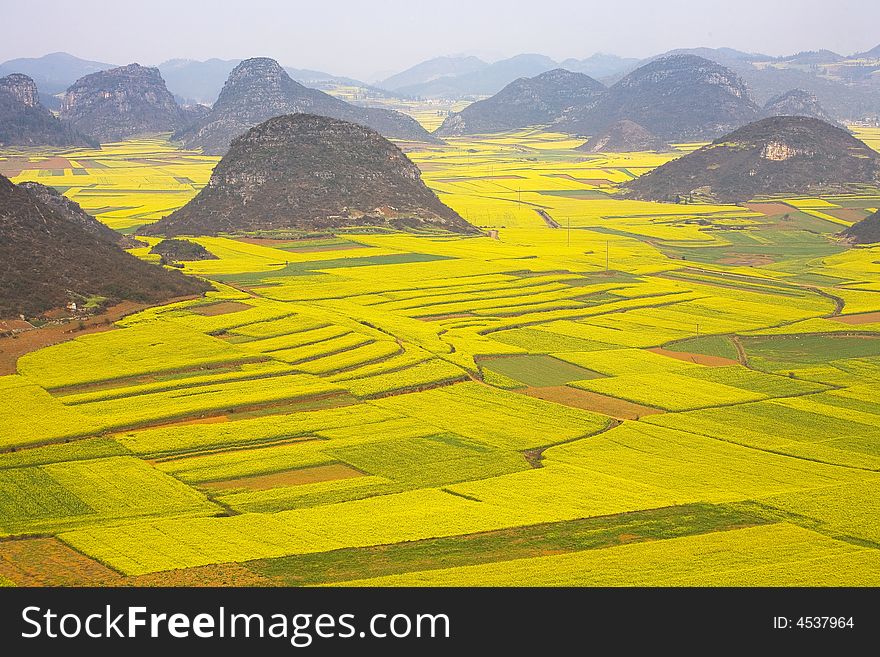 The cole fields of Leping is a beauty spot of Yunnan. The cole fields of Leping is a beauty spot of Yunnan