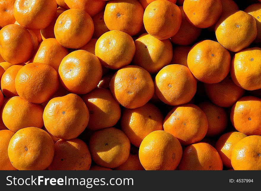 Orange stand showed brilliance atraction color in the morning of fall. Orange stand showed brilliance atraction color in the morning of fall.