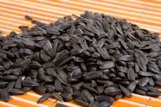Close-up Of Sunflower Seed Royalty Free Stock Images Close-up Of Sunflower Seed Royalty Free Stock Images