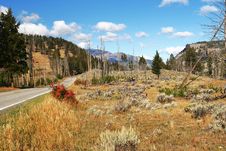 Fall In Yellowstone NP Stock Photo