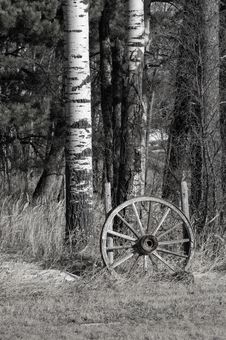 Abandoned Wagon Wheel Stock Photography Abandoned Wagon Wheel Stock Photography