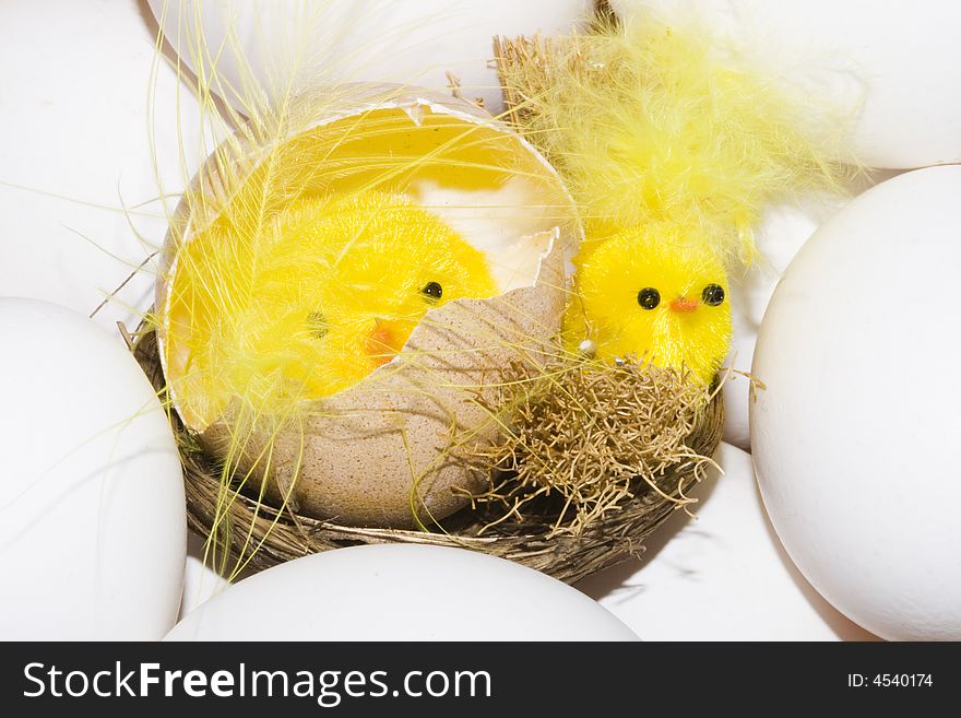 Newborn yellow easter chickens among white eggs
