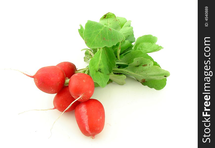 Little radish, studio isolated on white background, as a concept of healthy organic homegrown fodd.