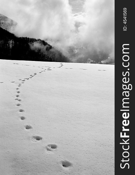 Snow traces in Apuseni Mountains, Romania