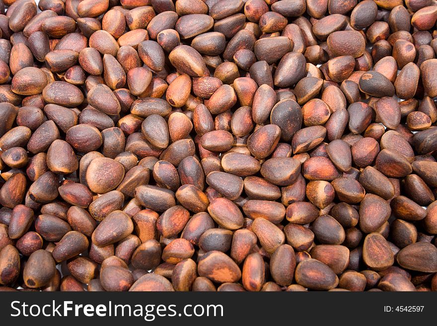 A Pile Of Cedar Nut