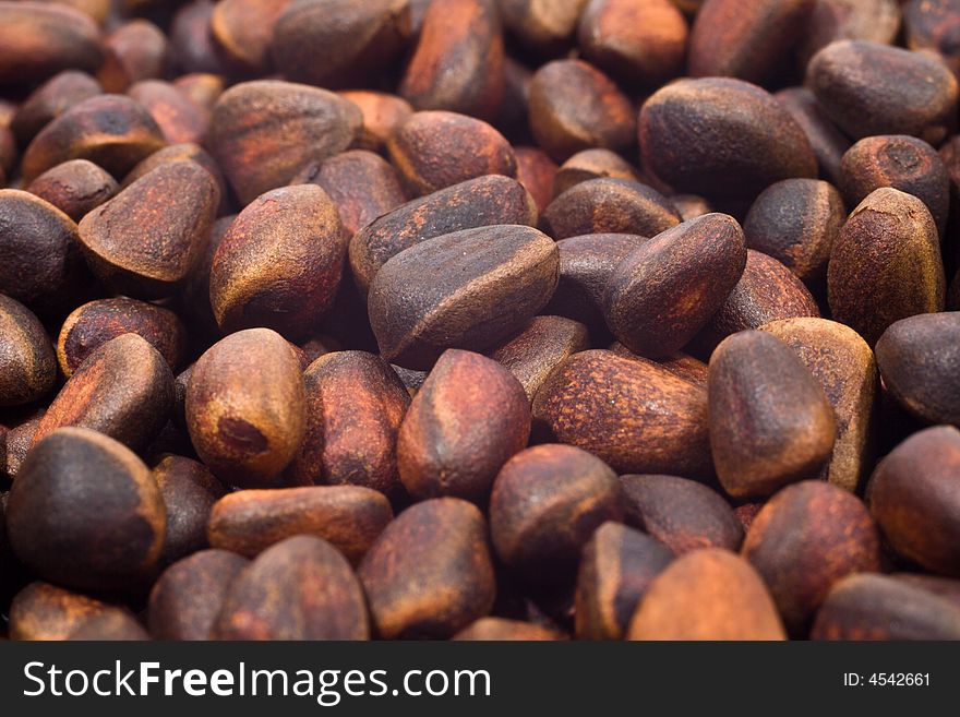 A Pile Of Cedar Nut