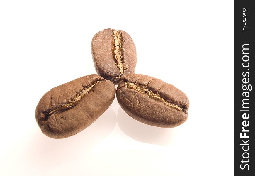 Three coffee beans in touch with each other isolated over white