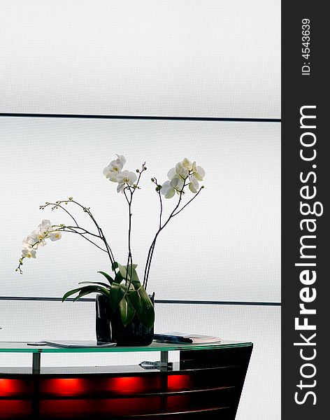 Desk with orchid flower arrangement. Desk with orchid flower arrangement