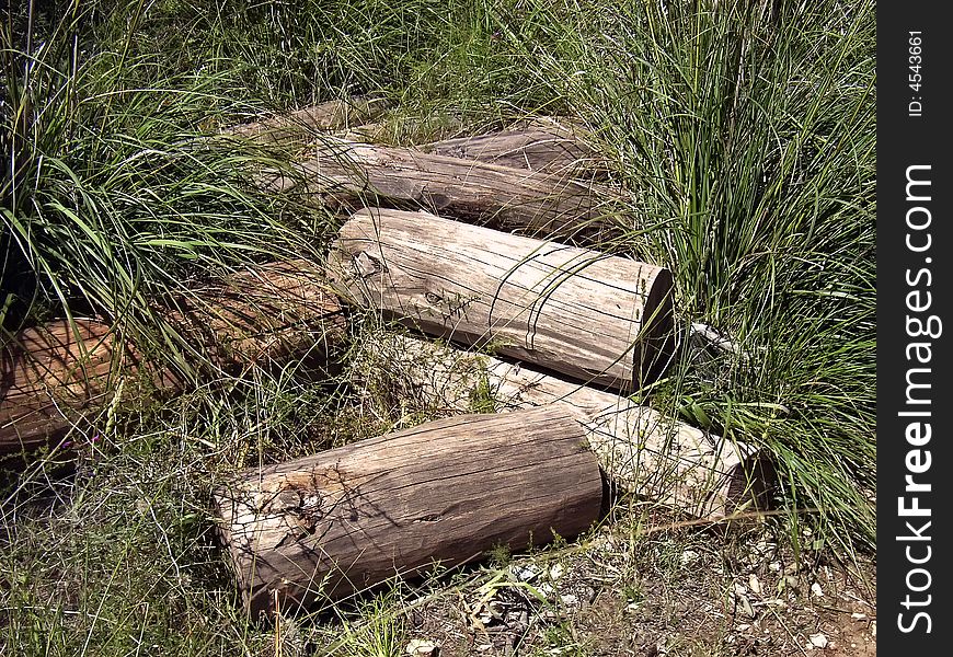 Tree trunks stacked on the forest. Tree trunks stacked on the forest