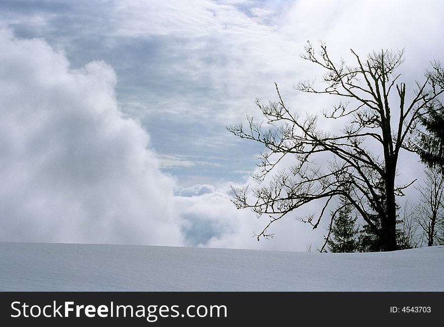 Winter landscape in Apuseni Mountains, Romania