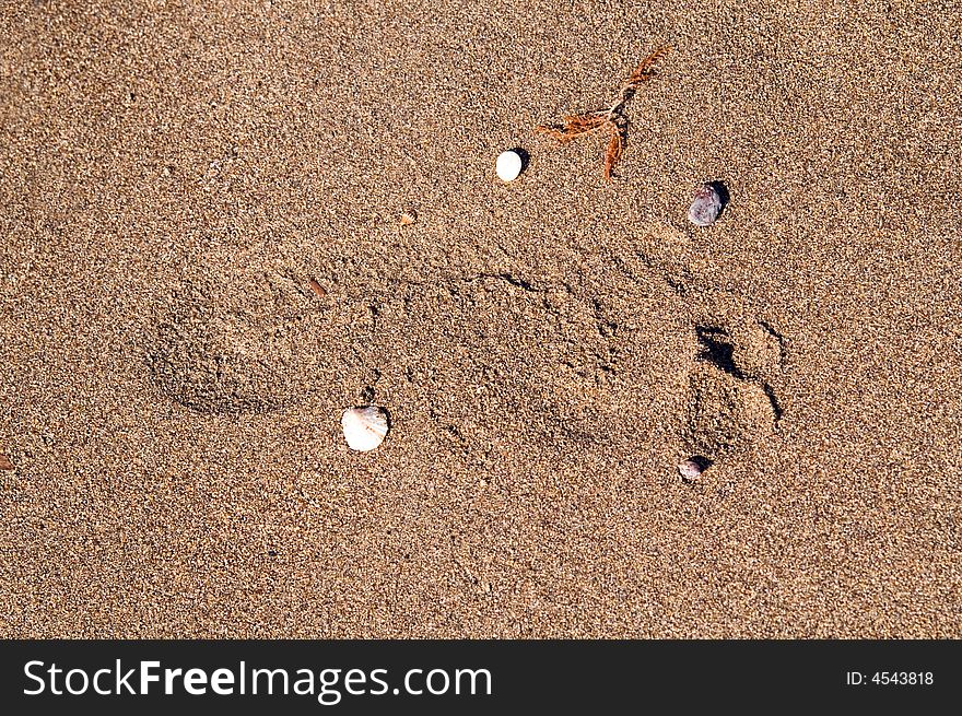 Footprint on wet sand