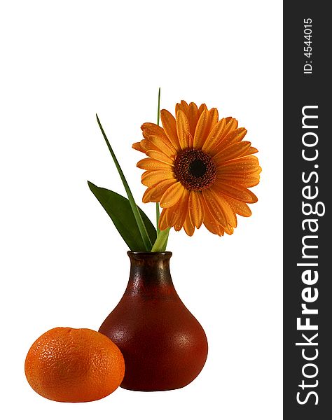 Floral Composition With Gerber And Tangerine