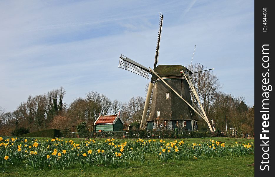 The Windmill In Dutch Countryside