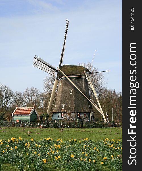 The Windmill In Dutch Countryside