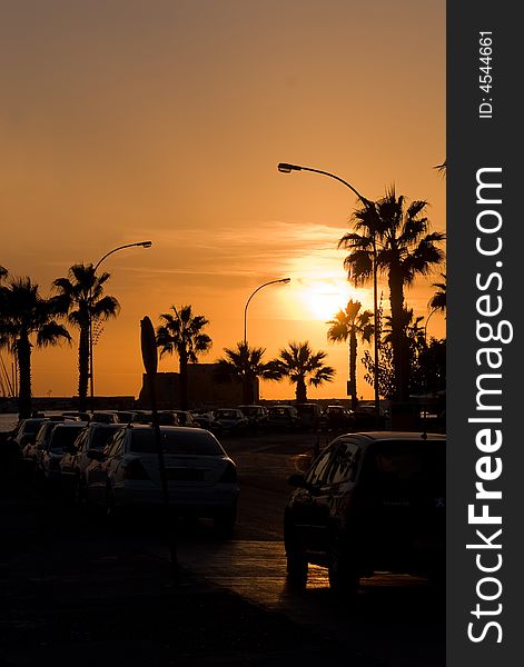 Yellow sunset with cars, palms and lampposts. Yellow sunset with cars, palms and lampposts