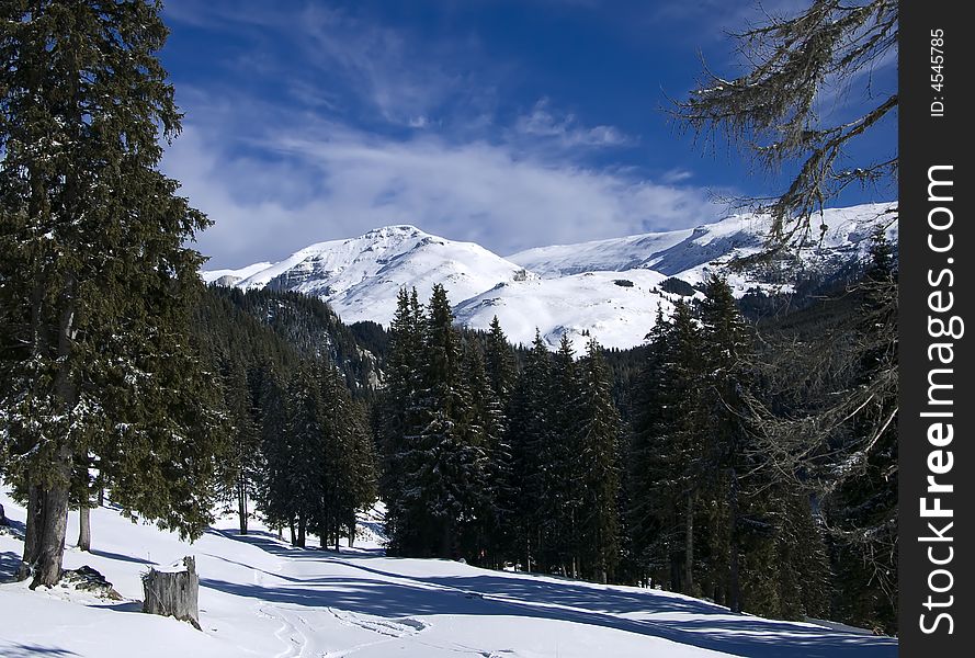 Ialomita valley