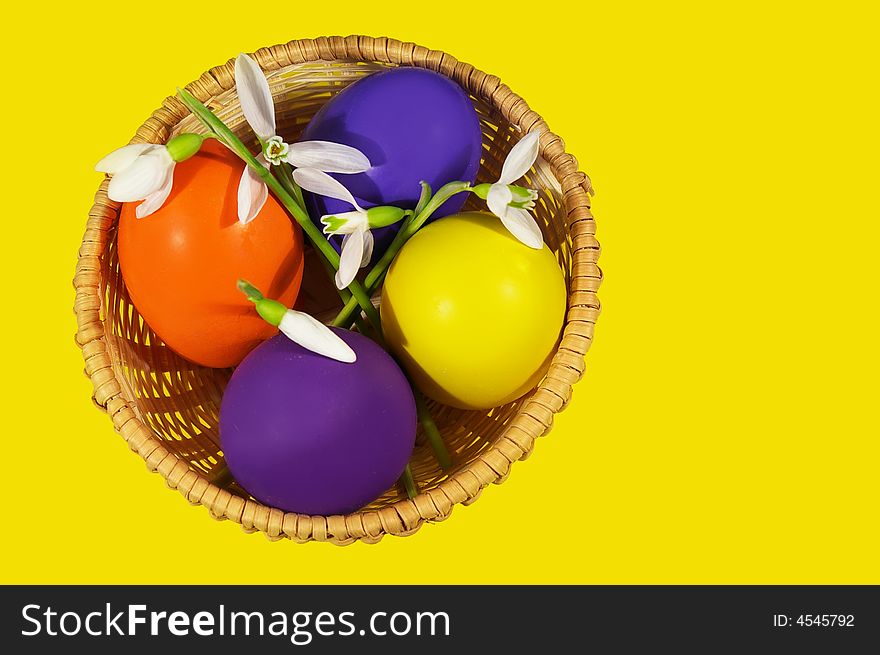 Easter basket with snowdrops and eggs on a yellow background