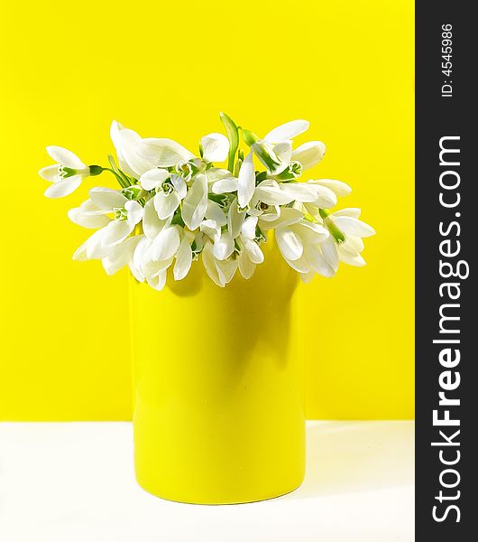 Bouquet Of  White Snowdrops