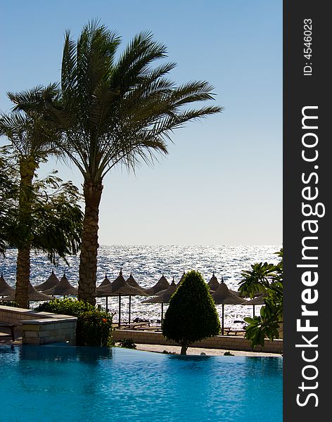 Beautiful swimming pool and ocean in background