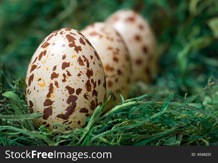 Three spotted eggs on the green hay. Selective focus, shallow depth of field. Three spotted eggs on the green hay. Selective focus, shallow depth of field.