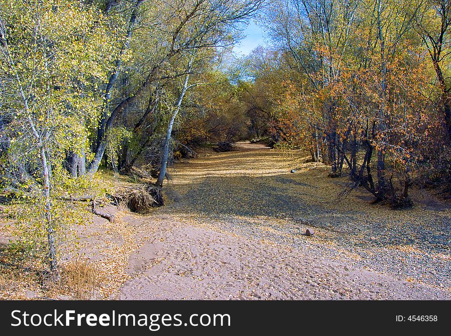 A dried up river/stream during autumn in Arizona. A dried up river/stream during autumn in Arizona.