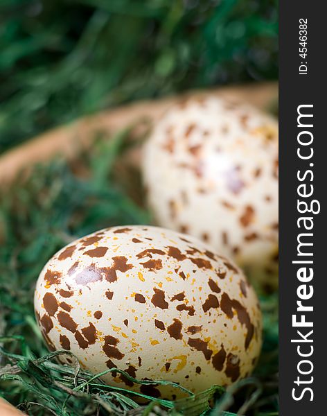 Spotted eggs on the green hay. Selective focus, shallow depth of field. Spotted eggs on the green hay. Selective focus, shallow depth of field.