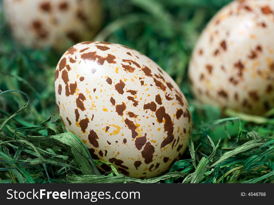 Spotted Eggs.
