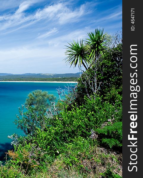 Tropical Vegetation and blue water