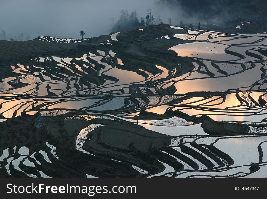 The light of the early morning sun in the ladder field of Yuanyang of China. The light of the early morning sun in the ladder field of Yuanyang of China