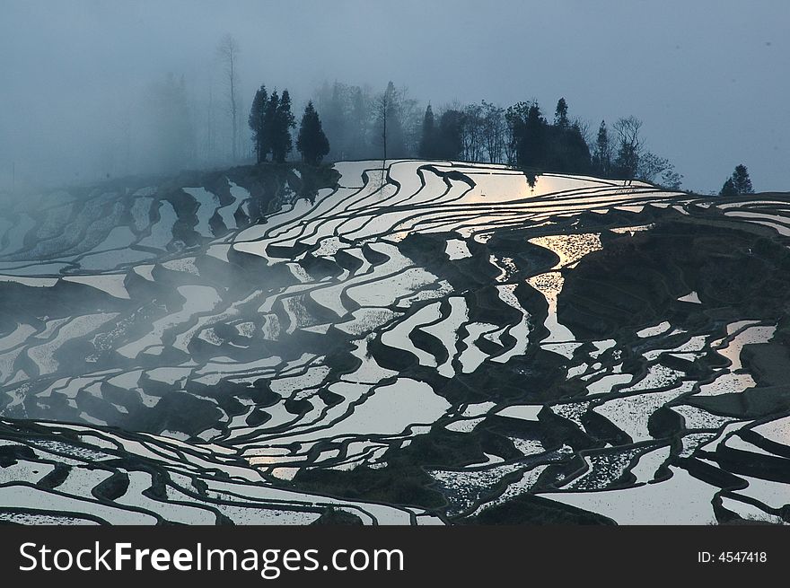 I took this photo in the Yuanyang of China. this is the rice fields on a mountain slope. I took this photo in the Yuanyang of China. this is the rice fields on a mountain slope.