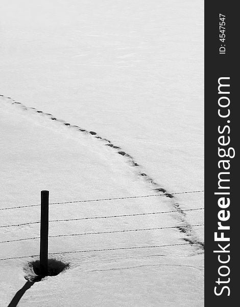 Black and white still life of a set of tracks in a winter field. Black and white still life of a set of tracks in a winter field