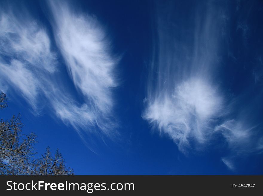 Wispy white clouds against a brilliant blue sky on a summer day. Wispy white clouds against a brilliant blue sky on a summer day