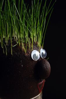 Grass On The Head Stock Image Grass On The Head Stock Image