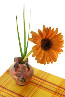 Gerber With Droplets In Vase Stock Photos Gerber With Droplets In Vase Stock Photos
