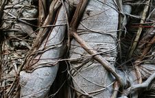 Ancient Natural Background Stock Image Ancient Natural Background Stock Image